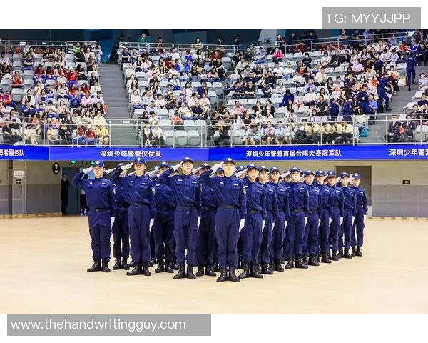全国锦标赛特别报道：深圳篮球队如何逆袭夺冠的精彩历程与背后故事