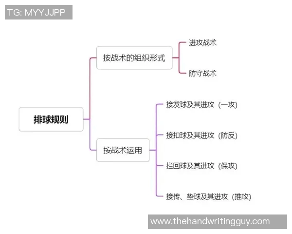 成都排球队在城市联赛中的灵活性表现及其战术分析